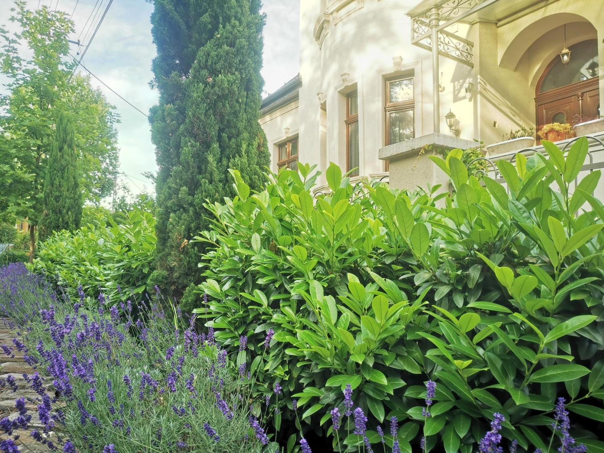 Kuria Apartman Budapest With Free Parking Extérieur photo